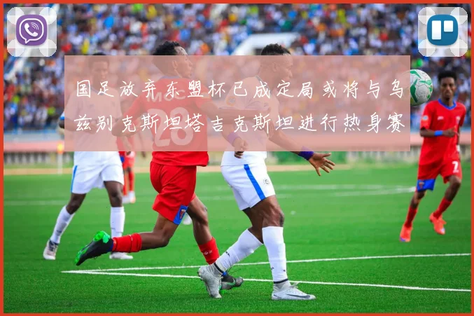 国足放弃东盟杯已成定局或将与乌兹别克斯坦塔吉克斯坦进行热身赛