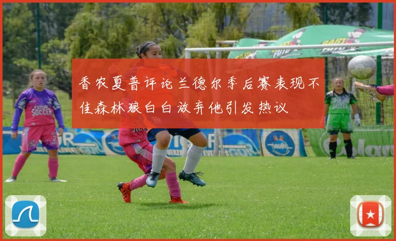 香农夏普评论兰德尔季后赛表现不佳森林狼白白放弃他引发热议